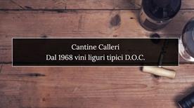 Cantine Calleri  - >Albenga