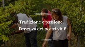 Cantine Losito - >Foggia