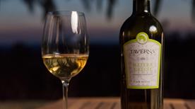CANTINE TAVERNA - >Nova Siri