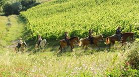 Castellare di Tonda Scotti S. - >Montaione