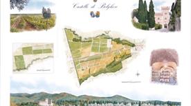Castello di Bolgheri - >Bolgheri