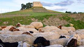 Castello Svevo - >Gravina in Puglia