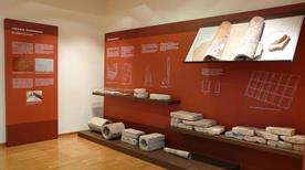 Museo Civico delle Centuriazioni Romane e dell'Alta Padovana - >Borgoricco