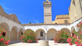 Certosa di San Giacomo - >Capri
