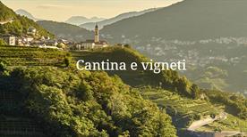 Cesarini Sforza Spumanti Spa - >Trento