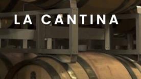 Citra Vini - >Ortona