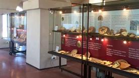 Civico Museo Storico Archeologico - >Savona