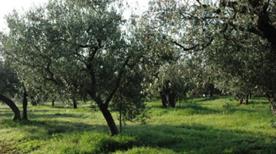 Colle Arioso - >San Vito Chietino