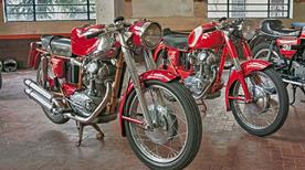 Collezione Ducati Fratelli Saltarelli - >Senigallia