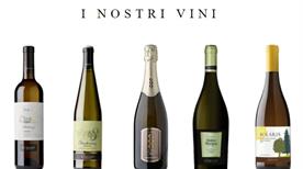 Concilio Spa - >Volano