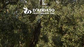 D' Addato Agroalimentare Snc - >Barletta