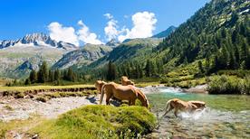 Parco Naturale Adamello Brenta - >Folgarida