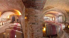 Poderi Luigi Einaudi - >Dogliani