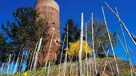 Torre di Montaldo - >Montaldo Roero
