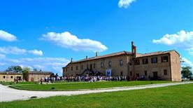 Villa del Balì - >Cartoceto