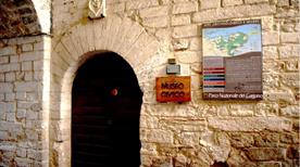 Museo Civico Archeologico M. Petrone - >Vieste