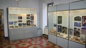 Museo Civico dei Fossili - >Besano