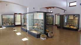 Museo Geopaleontologico dei Fossili della Lessinia - >Velo Veronese