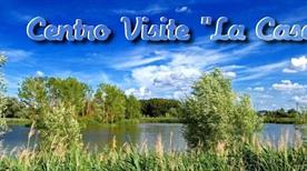 Oasi Riserva Lago di Montepulciano - >Montepulciano