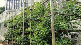 La Limonaia del Castel - >Limone sul Garda