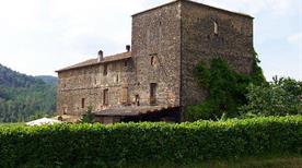 Castello di Badagnano  - >Carpaneto Piacentino