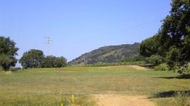 Golf Club San Michele - >Cetraro