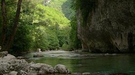 Bosco di Frasassi - >Fabriano