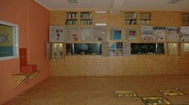 Museo Paleontologico S. Lai - >Ceriale