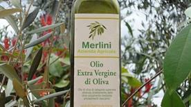 Olio di Toscana Merlini - >Certaldo