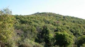 Monte Musino - >Sacrofano