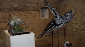 Museo del Mare - >Piombino