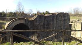 Anfiteatro Romano  - >Nola