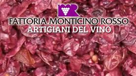 FATTORIA MONTICINO ROSSO - >Imola