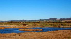 Riserva naturale Macchiatonda - >Cerveteri