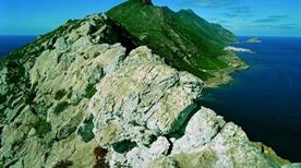 Monte Falcone - >Marettimo