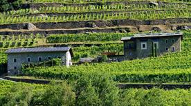 Fondazione Fojanini - >Sondrio