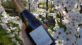 Francone Sas - Cantina, Winery - >Neive