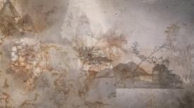 Galleria Studio Legale - >Caserta