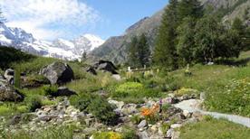 Giardino botanico alpino Paradisia - >Cogne