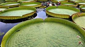 Giardino Botanico di Villa Bricherasio - >Saluzzo