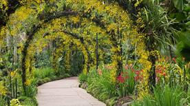 Giardino Orto-Botanico Santicelli - >Soverato