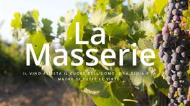 La Masserie - azienda vitivinicola - - >Bellona