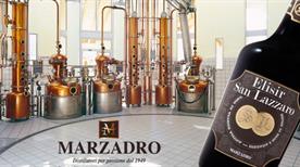 Lazzaro Diffusion Srl  - >Aranova
