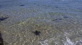Lido Il Titolo - >Bari