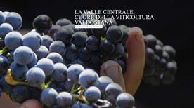 MAISON ANSELMET - >Villeneuve