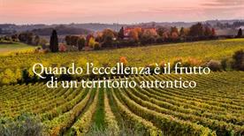 Masottina Spa - >San Fior
