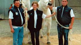 Azienda agricola Mecherini - >Livourne