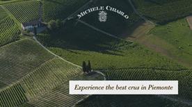 Michele Chiarlo Srl Azienda Vitivinicola - >Calamandrana