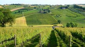 Monte Schiavo - >Maiolati Spontini
