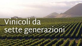 Monteverdi Vini Srl - >Borgo San Giovanni